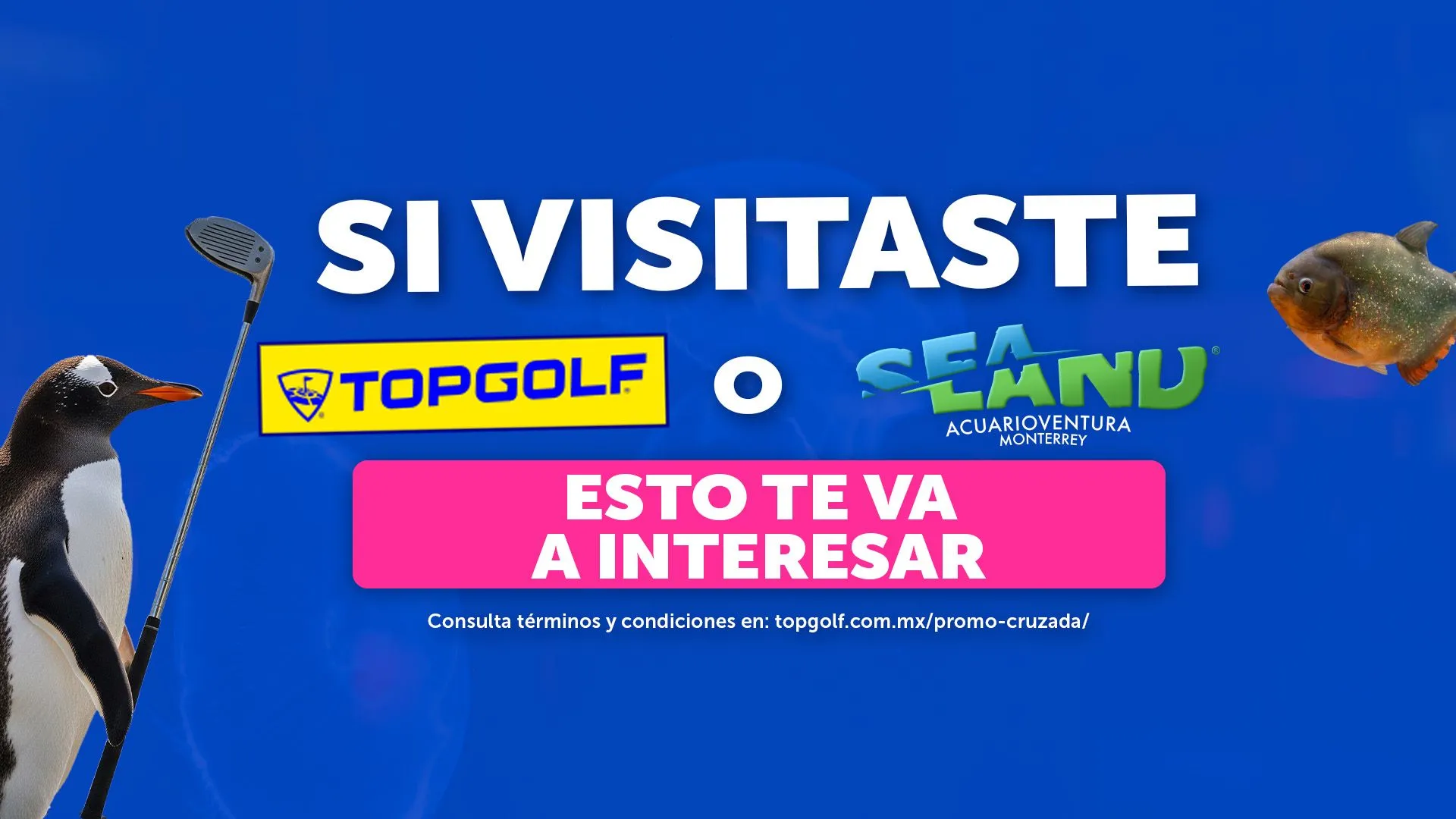 Imagen principal de la sección